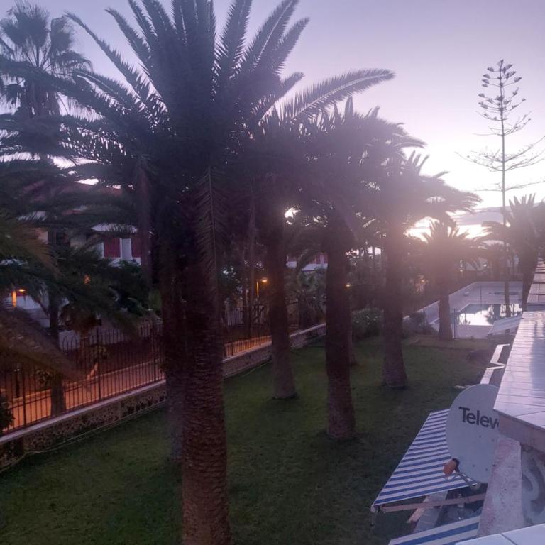Apartamento Margarita con piscina en Playa Honda, Playa las Américas - Apartamento de 1 dormitorio - 68