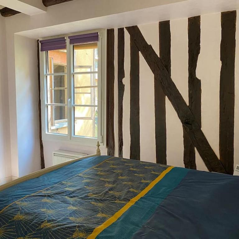 Charmant appartement - centre Cité Plantagenet!!! - Two-Bedroom Apartment - 5