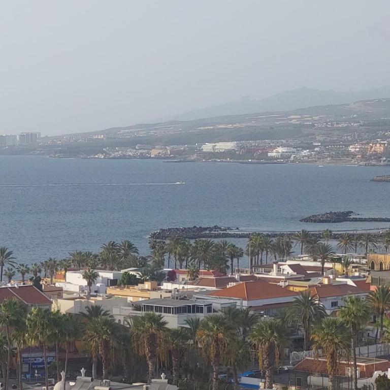 Apartamento Margarita con piscina en Playa Honda, Playa las Américas - Apartamento de 1 dormitorio - 71