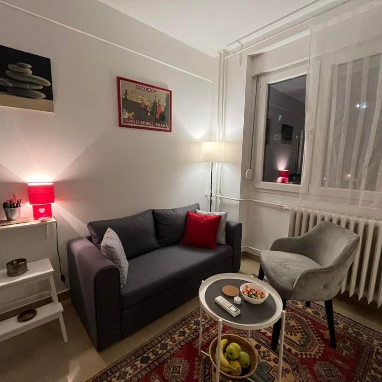 Tasmajdan City Break - Apartman sa 1 Spavaćom Sobom - 9