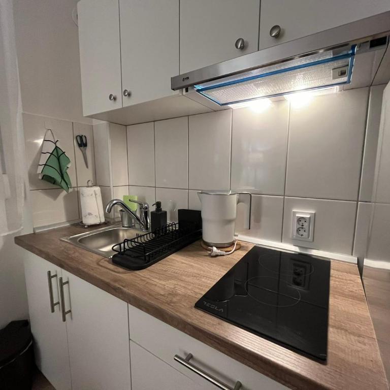 Tasmajdan City Break - Apartman sa 1 Spavaćom Sobom - 13