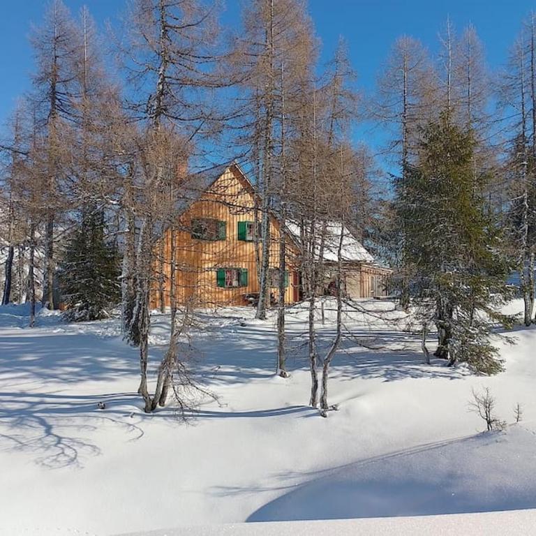 Jagdhütte auf der Tauplitzalm - Selbstversorgerhütte - Eight-Bedroom House - 1