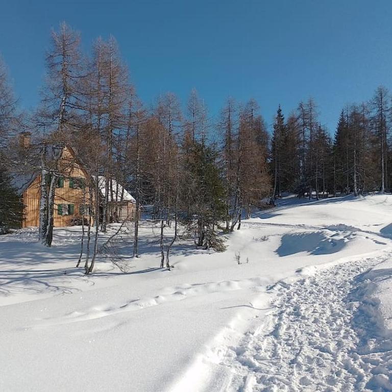 Jagdhütte auf der Tauplitzalm - Selbstversorgerhütte - Eight-Bedroom House - 2
