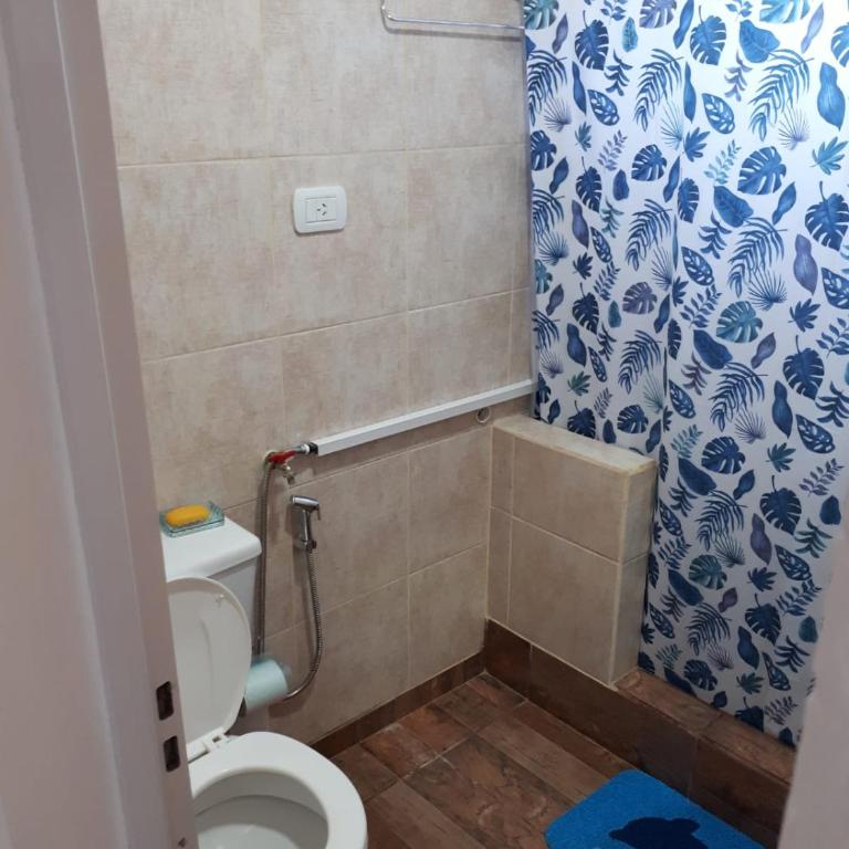 alquilerpordiviedma - One-Bedroom Apartment - 13