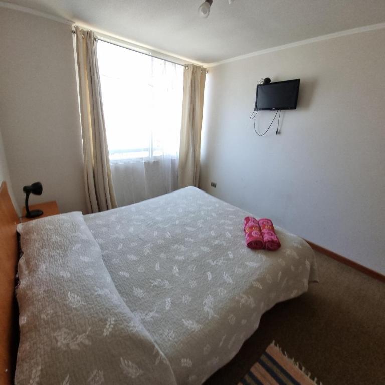 Apartamento V Region - Apartment - 8