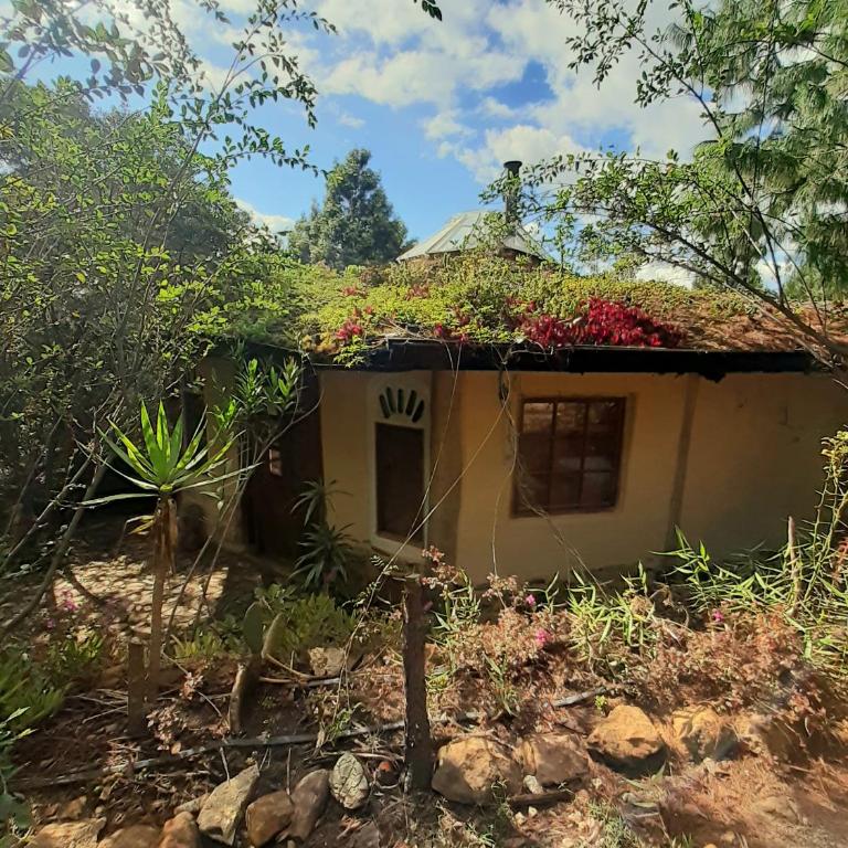 Zuna - Casa - 10