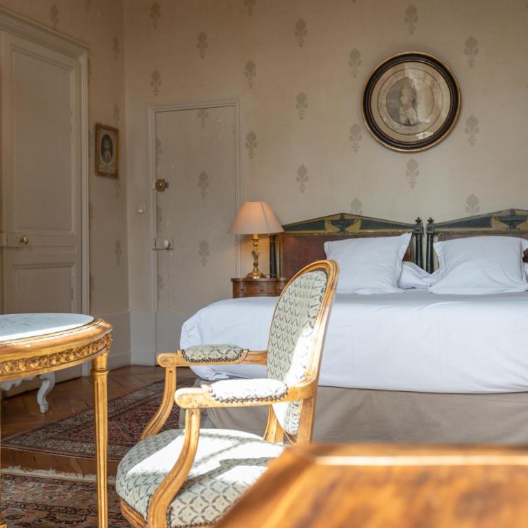 L'Hotel de Panette, Un exceptionnel château en coeur de ville - parking privé cour - Chambre Double « Picard de Phélippeaux » - 6