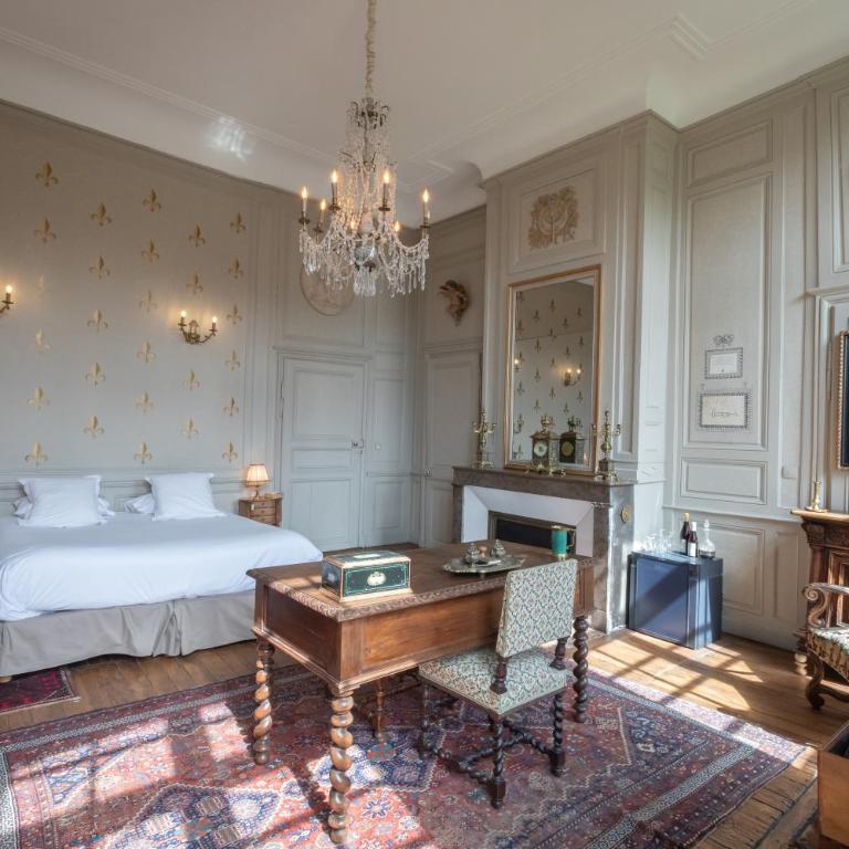 L'Hotel de Panette, Un exceptionnel château en coeur de ville - parking privé cour - Chambre Double ou Lits Jumeaux « Le Marquis de Tristan » - 10