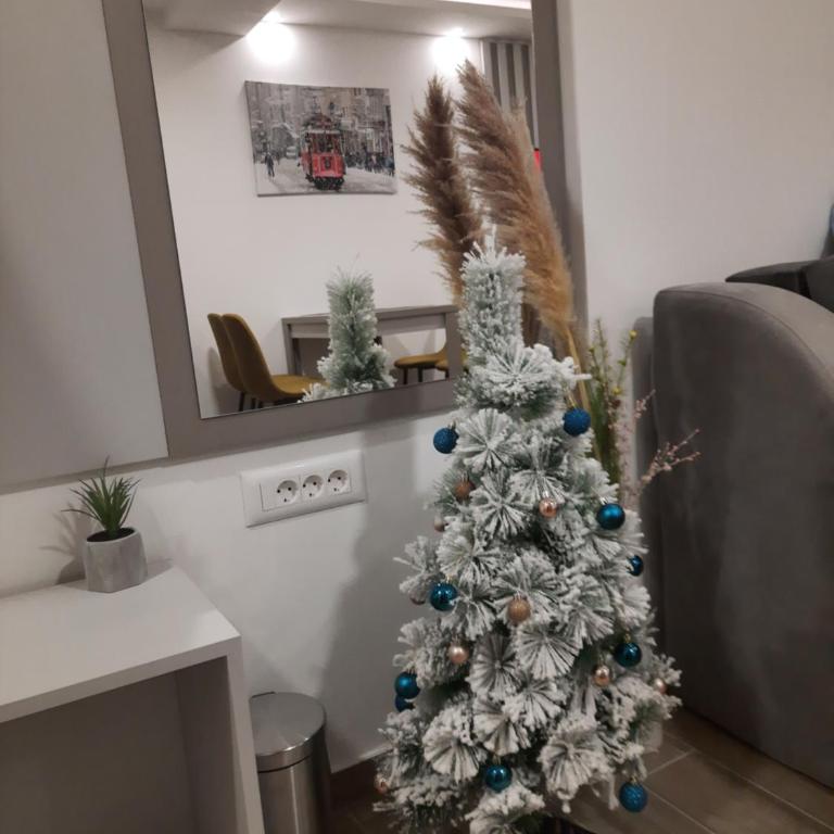 Apartman A20B - King Studio with Sofa Bed - 4