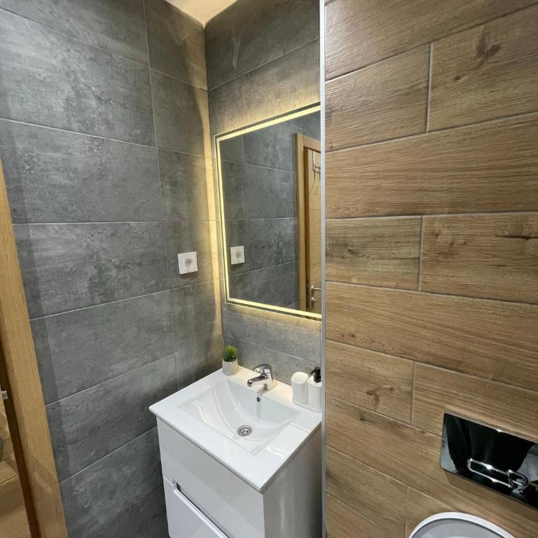 Zlatibor Apartment - Planinski Raj - Apartman sa 1 Spavaćom Sobom - 26