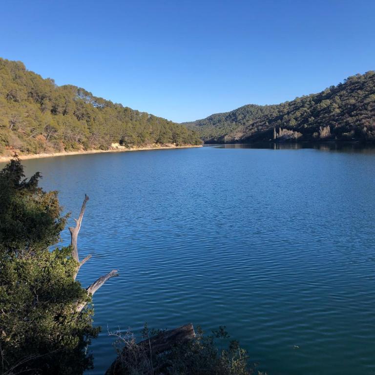 Villa Maya Blanca entre côte d́́́ Azur et gorges du Verdon et recharge voiture électrique - Studio - Vue sur Piscine - 28