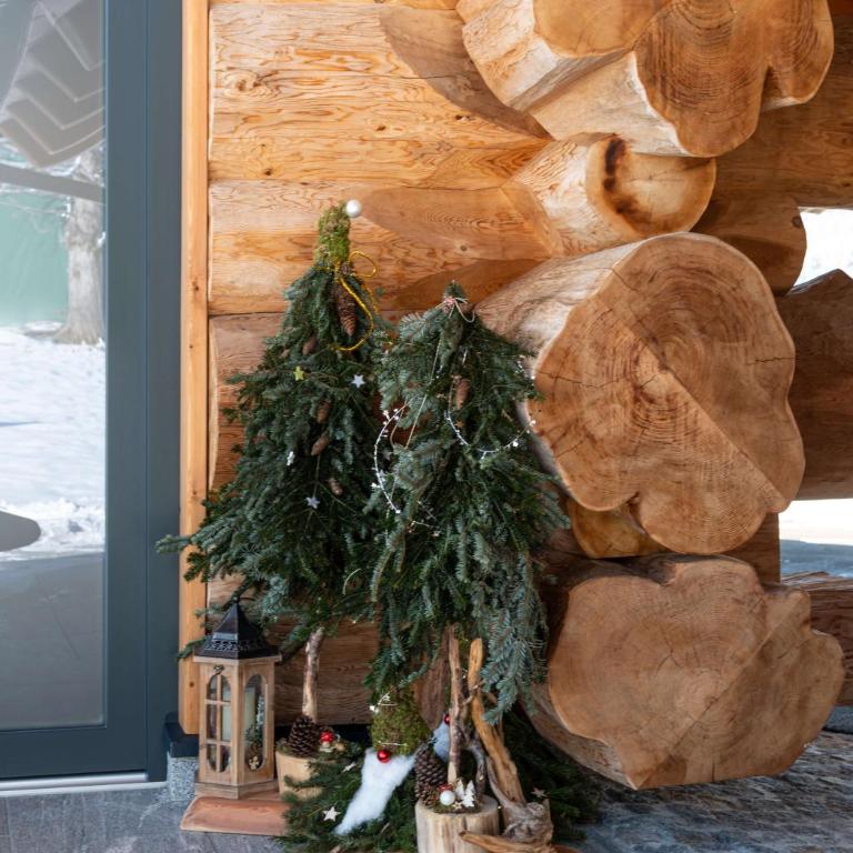 Das Blockhaus Gosau - Your Austrian Home - Haus mit 3 Schlafzimmern - 44