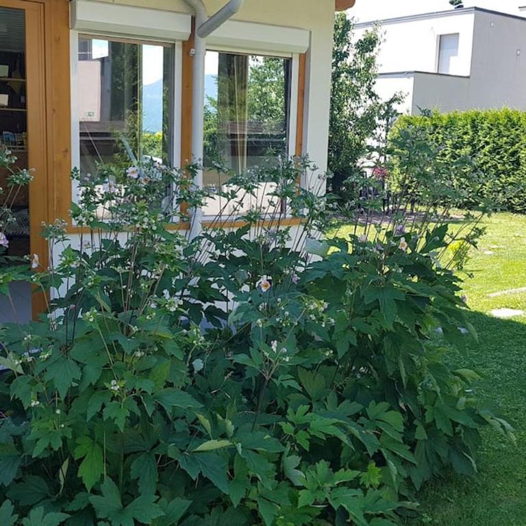 Appartment BERGE byTILLY - Ruhiges Waldrand-Refugium mit Balkon, Gartenblick & Nähe zum Wörthersee - Apartment mit Balkon - 16