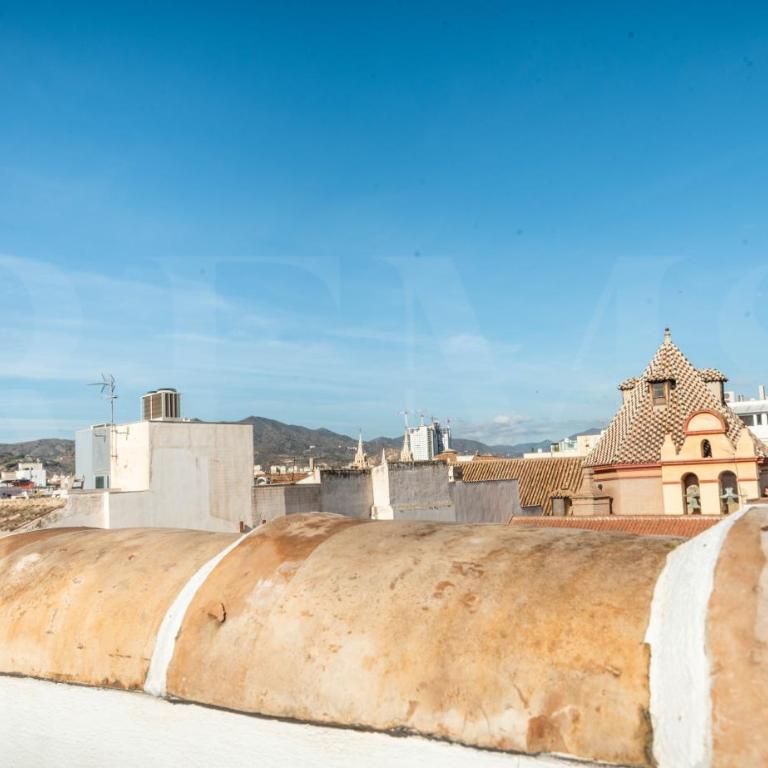 Penthouse suite with rooftop in the heart of Malaga by REMS - Apartamento con terraza - 34