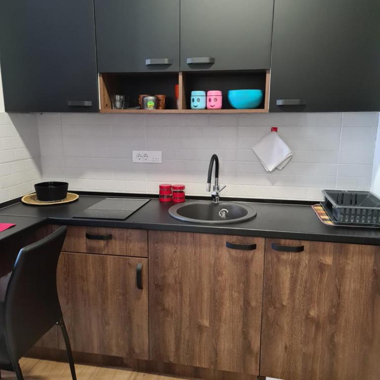 Apartmani Gavric Borovi 2 - One-Bedroom Apartment - 19