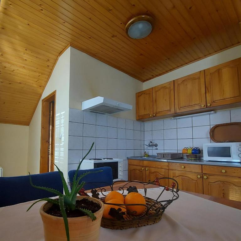 Apartmani Milicevic Zlatibor - Apartman sa 1 Spavaćom Sobom - 13