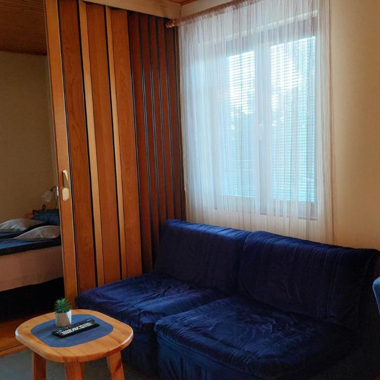 Apartmani Milicevic Zlatibor - Apartman sa 1 Spavaćom Sobom - 11