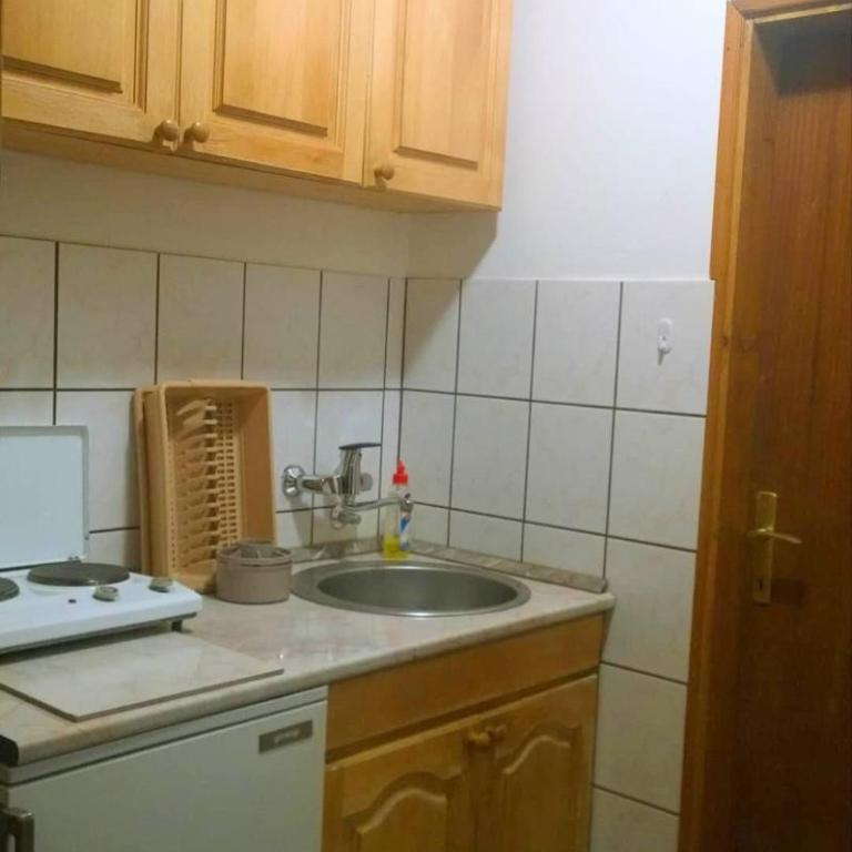 Apartmani Milicevic Zlatibor - Studio - 10