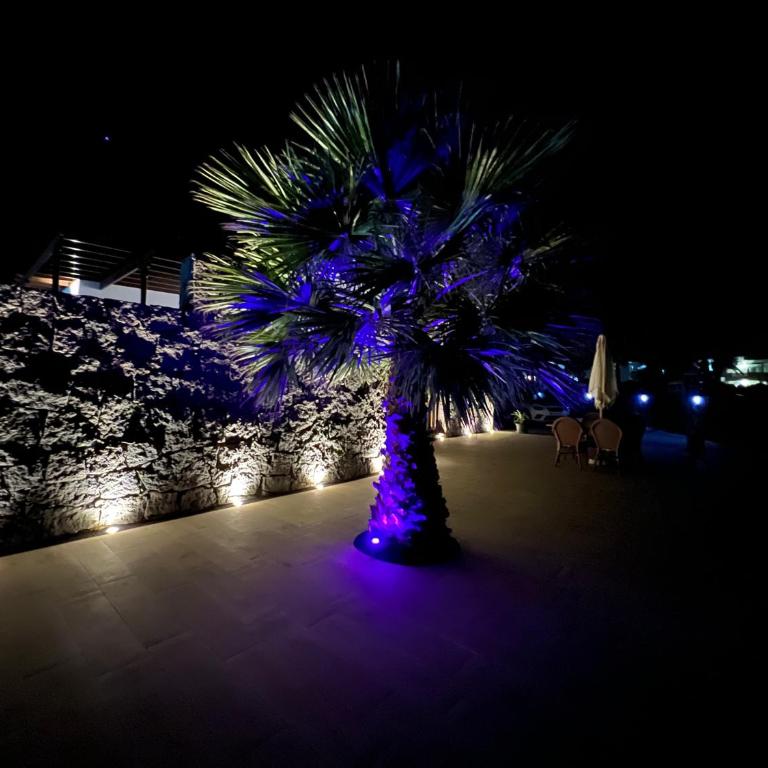 Villa Little Star - Villa con piscina privada - 44
