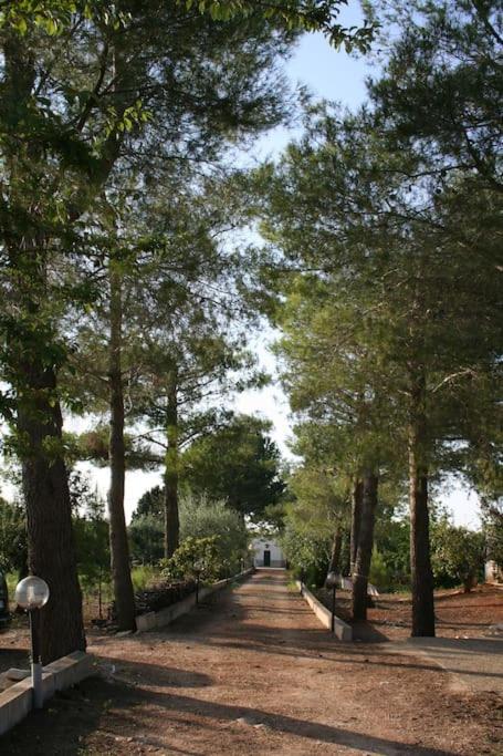 OTIUM - Casa con 2 Camere da Letto - 14
