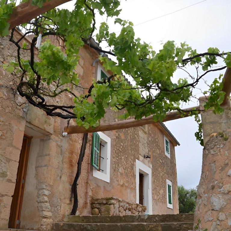 Son Vell. Mallorca. Casa amb piscina ecològica. - Casa de 5 dormitorios - 4