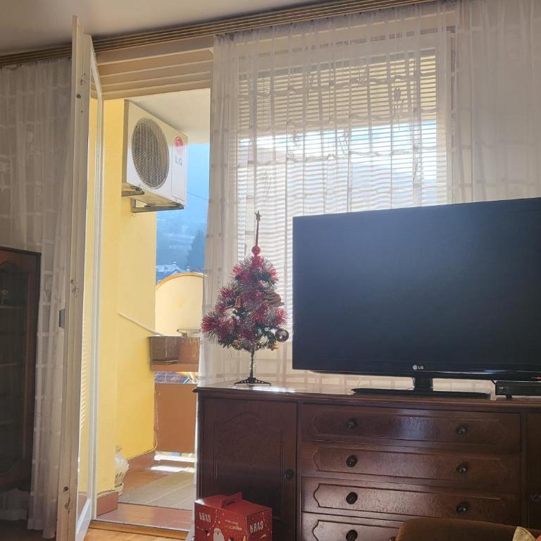 Apartman Sky-Parking-Garage - Apartman sa 2 Spavaće Sobe - 6