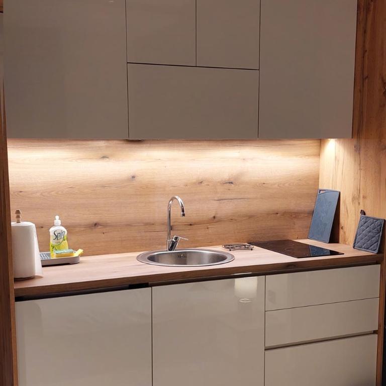 Nela apartmani (u hotelu Djina) - One-Bedroom Apartment - 7