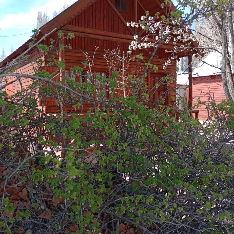 Cabañas Teushen - Two-Bedroom House - 4