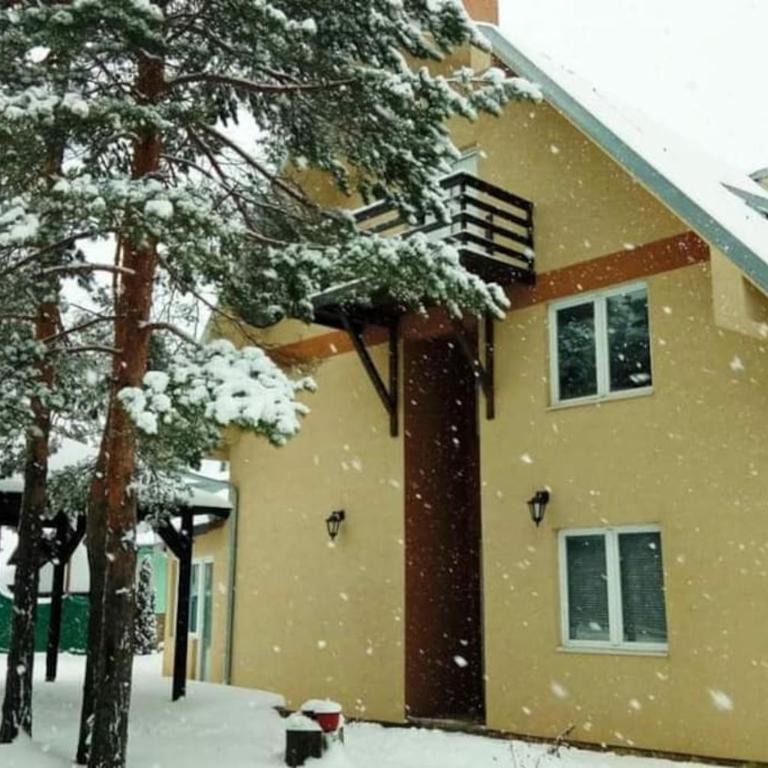 Olivera Divčibare - Apartman sa 1 Spavaćom Sobom - 1