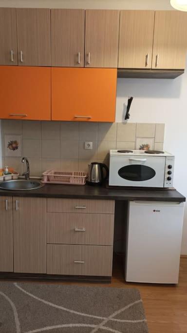 Olivera Divčibare - Apartman sa 1 Spavaćom Sobom - 5
