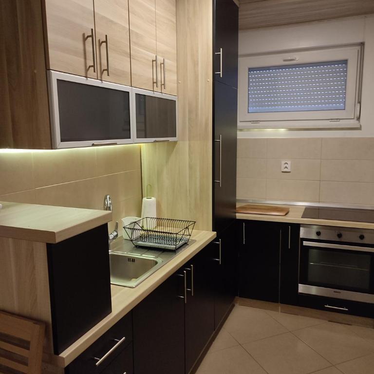 Mila apartman - Apartman sa 1 Spavaćom Sobom - 9