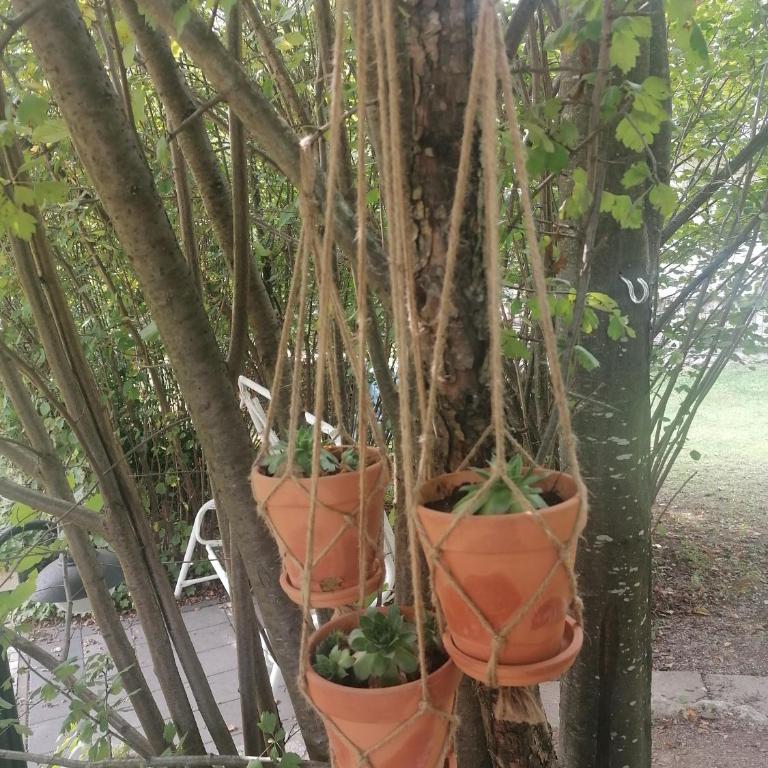 Apartment Carolija Zlatibor - Apartman sa 1 Spavaćom Sobom i Kaminom - 59