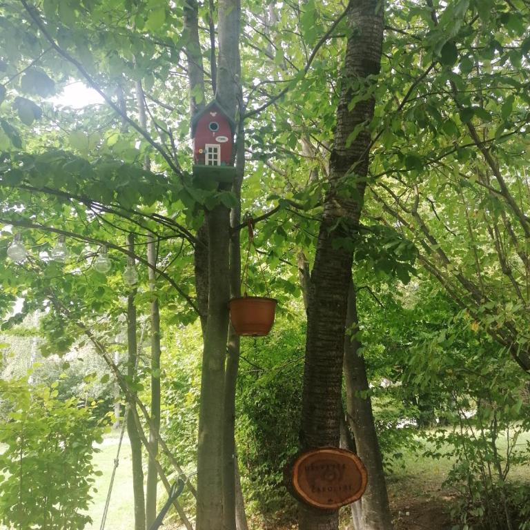 Apartment Carolija Zlatibor - Apartman sa 1 Spavaćom Sobom i Kaminom - 60