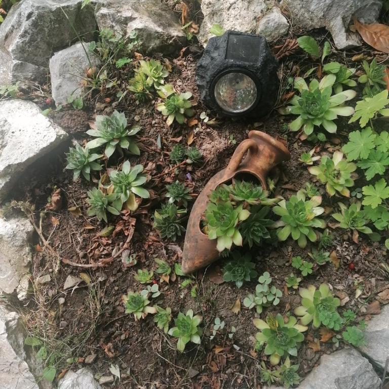 Apartment Carolija Zlatibor - Apartman sa 1 Spavaćom Sobom i Kaminom - 65