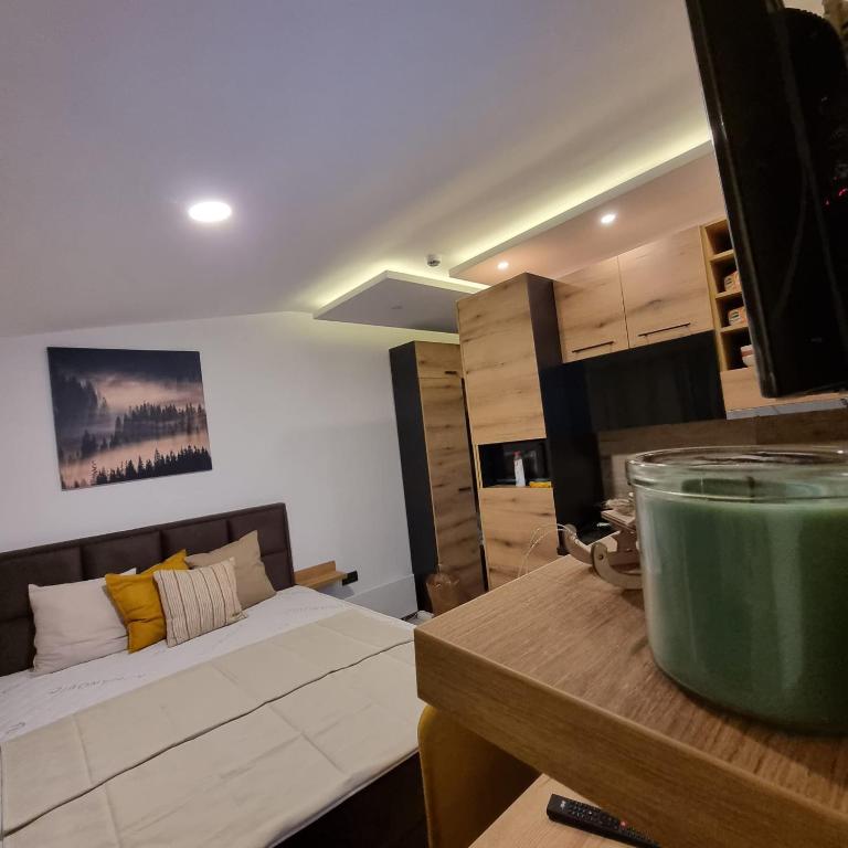 Kopaonik Milmari & Spa N Lux 90 - Studio Apartment - 21