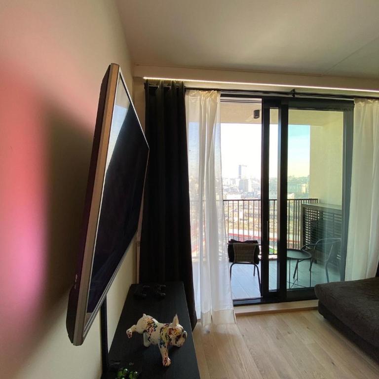 Belgrade Waterfront Apartments - Apartman sa 1 Spavaćom Sobom - 8