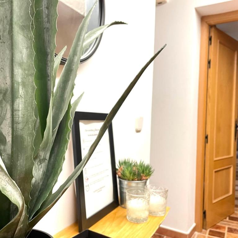Alojamiento Retama Toledo - Apartamento de 3 dormitorios - 5