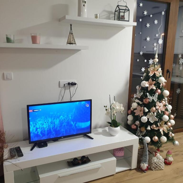Apartman Borovi Divčibare - Apartman - 14
