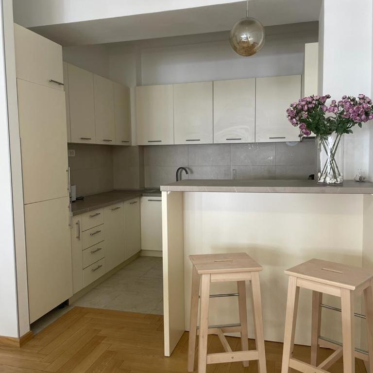 City Museum Apartments Banja Luka - Apartman sa 2 Spavaće Sobe - 10