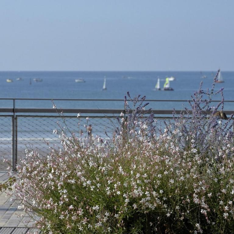 Maison de pêcheur avec cour privative, 300m de la plage, près des commerces et du marché - FR-1-92-663 - Maison de Vacances (4 Adultes) - 6