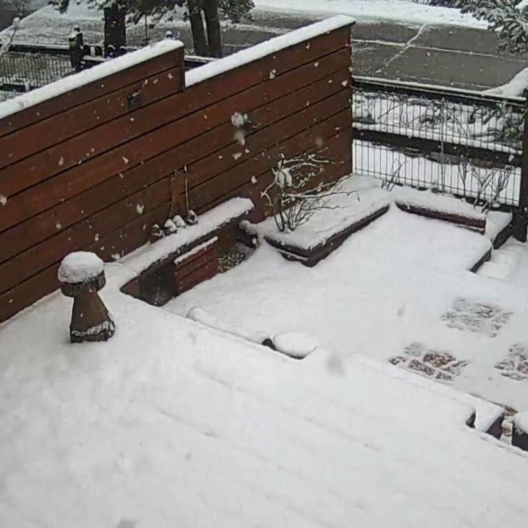 Studio avec cheminée et jardin - Appartement 1 Chambre - 23