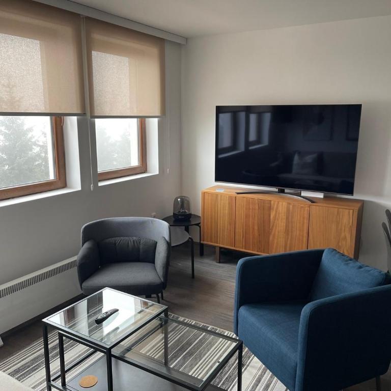 Sunčani Breg Resort&Spa Kopaonik, Apartman broj 409 - One-Bedroom Apartment - 1