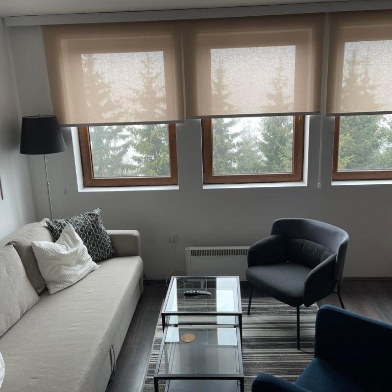 Sunčani Breg Resort&Spa Kopaonik, Apartman broj 409 - One-Bedroom Apartment - 15