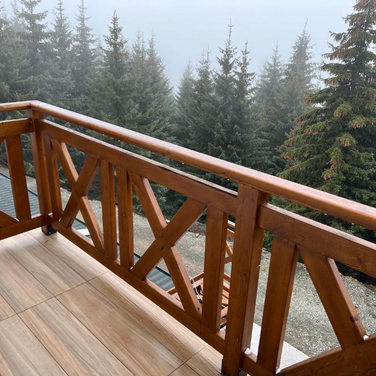 Sunčani Breg Resort&Spa Kopaonik, Apartman broj 409 - One-Bedroom Apartment - 16