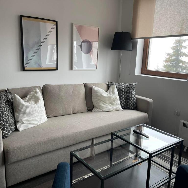 Sunčani Breg Resort&Spa Kopaonik, Apartman broj 409 - One-Bedroom Apartment - 18