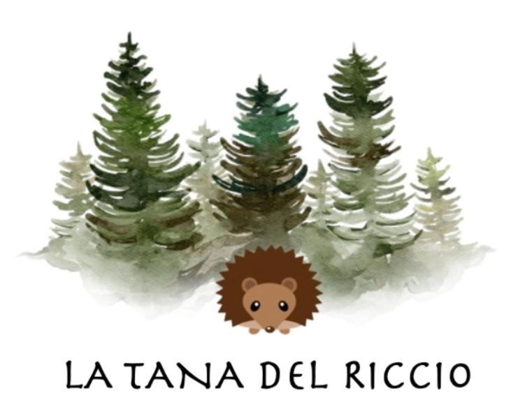 RESIDENZA IL RICCIO - Appartamento - Piano Terra - 1