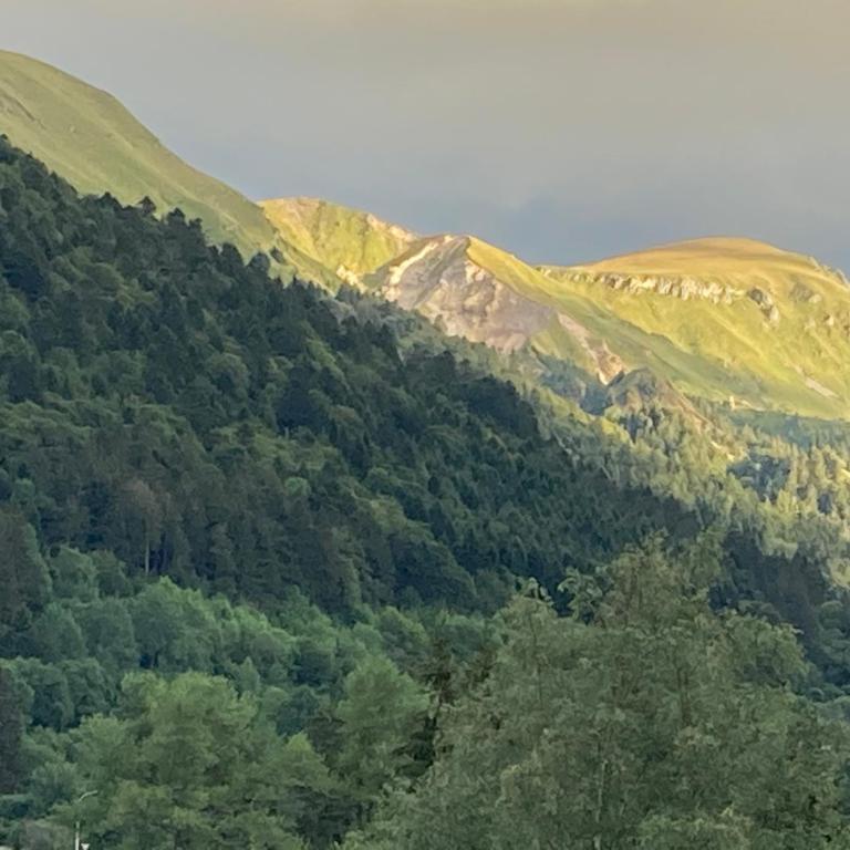 Cosy T2 au Mont Dore Sauna privé et vue montagne proche thermes - Apartment mit Sauna - 17