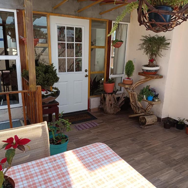 PentHouse con Roof Garden Privado Aeropuerto CDMX - Apartamento de 2 dormitorios - 20