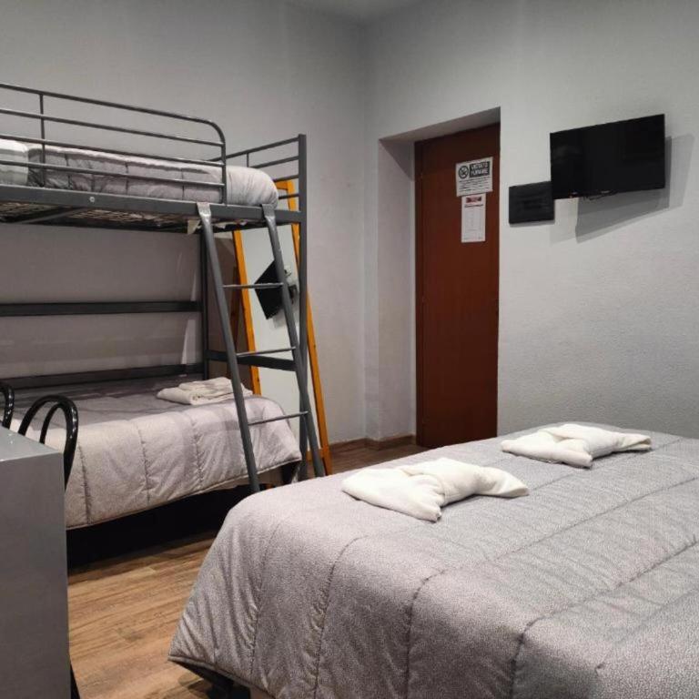 Hotel Convertini - Chambre Quadruple - 6