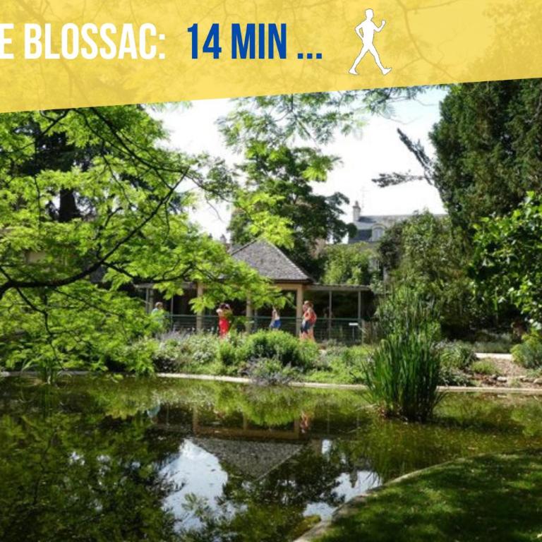 Beau-Jean, Un Cocon Sympa 5 min à Pied du Centre-Ville, Parking Privé, à 10 min du CHU - Appartement 1 Chambre - 3